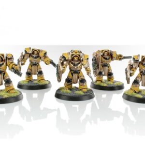 Imperial Fists Cataphractii Terminators with Storm Shields