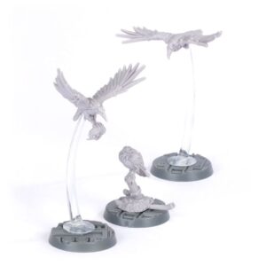 Cawdor Sheen birds